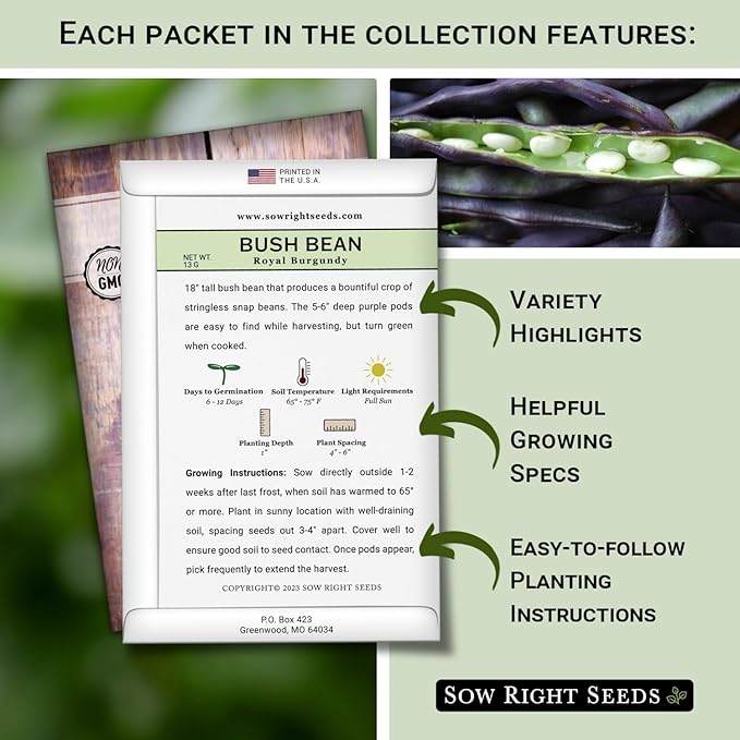 Sow Right Seeds - Tri Color Bush Bean Seed Collection for Planting - Individual Packets Contender, Royal Burgundy and Golden Wax Bush Beans - Non-GMO Heirloom Seeds to Plant a Home Vegetable Garden