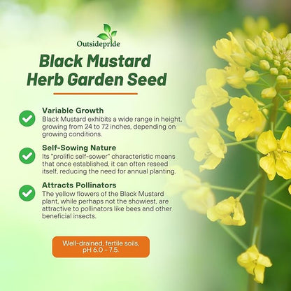 Outsidepride Black Mustard Seeds - 5000 Pcs Nutrient-Rich, Flavorful Annual Microgreen Seeds for Planting, Easy-to-Grow, Ideal for Indoor & Outdoor Cultivation, Soil & Hydroponic Systems