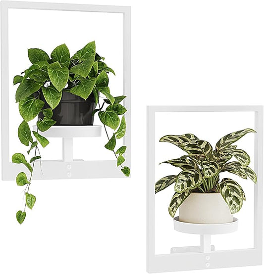 Bamworld White Plant Stand Indoor, Plant Hanger Wall Planters for Indoor Plants Window Plant Shelves Plant Holder Wall Decor, Room Decor (Patent Design)