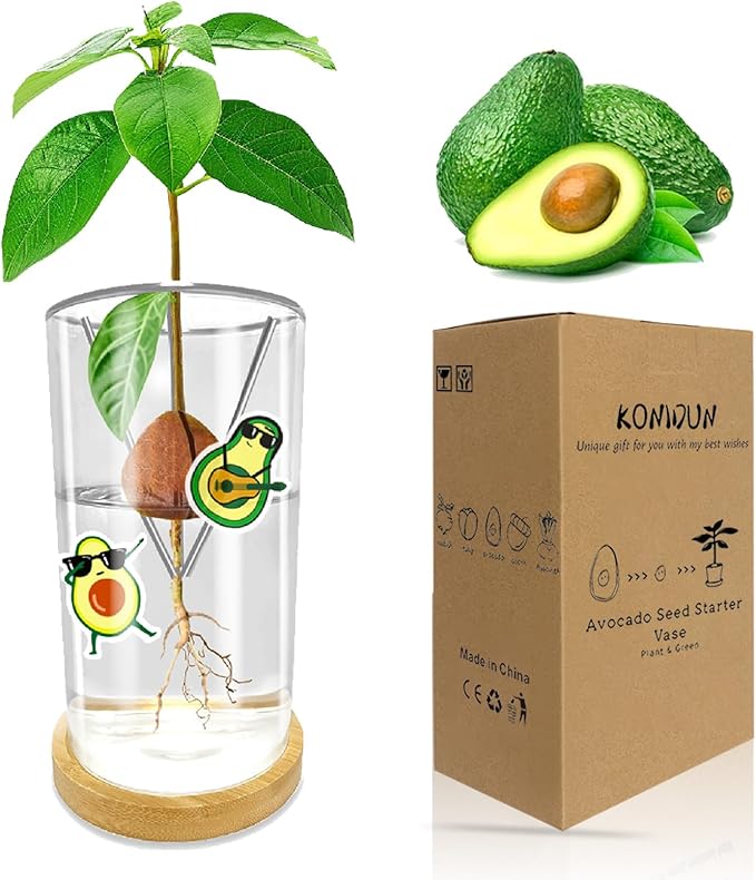 Avocado Seed Starter Vase - Avocado Tree Growing Kit with Base and Sticker, Glass Avocado Pit Sprouting Plant Pot Gift for Women, Gardening Lovers Home Office Table Decoration, Indoor No Seed
