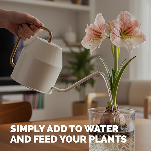 Amaryllis Fertilizer for Amaryllis Bulbs, Great for Amaryllis Bulbs in Vase or for Planting, Liquid Fertilizer by TPS Plant Foods, 8 oz (250mL)