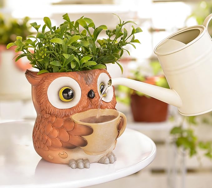 Unique Owl Plant Pots Indoor, Cute Small Succulent Pots with Drainage Hole, Watering Owl Planters for Indoor Outdoor Plants, Resin Flower Pot for String of Pearls, Gift Ideas for Mother