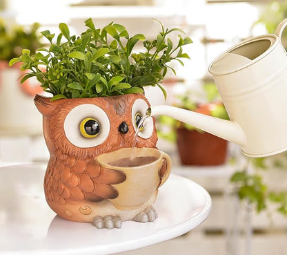 Unique Owl Plant Pots Indoor, Cute Small Succulent Pots with Drainage Hole, Watering Owl Planters for Indoor Outdoor Plants, Resin Flower Pot for String of Pearls, Gift Ideas for Mother