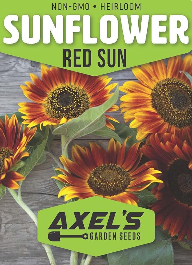 Seed Packets for Planting Red Sun Sunflowers in Home Outdoor Garden - Heirloom Non-GMO Flower Seed Packets
