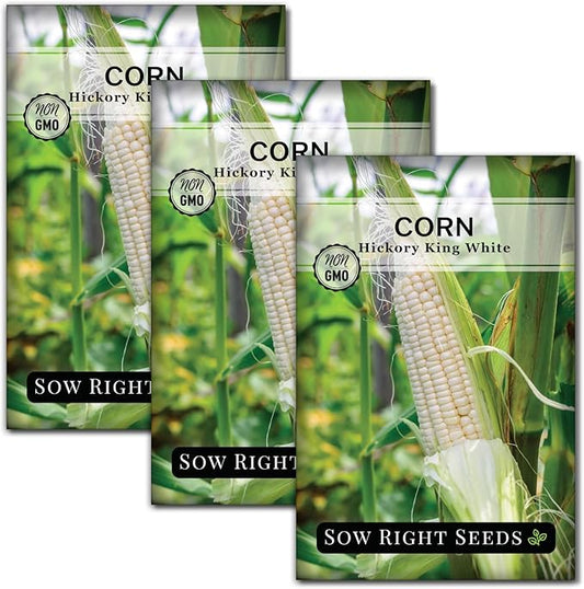 Sow Right Seeds - Hickory King White Corn Seeds for Planting - Non-GMO Heirloom Packet with Instructions to Plant & Grow an Outdoor Home Vegetable Garden - Rare Cream Color, Large Stalks and Ears (3)