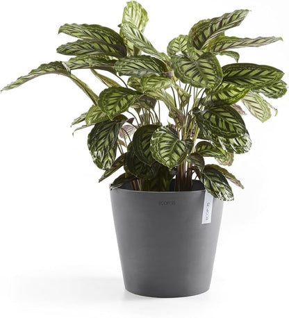 Ecopots Amsterdam Durable Modern Round Indoor/Outdoor Recycled-Based Composite Flower Pot Planter, Grey, 12"