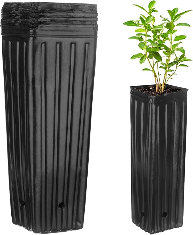 50-Pack Plant Nursery Pots, 4.72x4.72x12.6 Inch Plastic Deep Growing Nursery Pots Succulent Planter Flower Tree pots with Drainage Holes for Indoor Outdoor Gardening [Black]