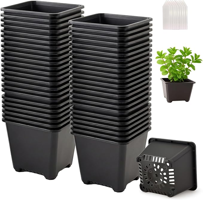 50 Packs Square Nursery Pots for Plants 4.7 Inch Succulent Plant Pots Set Plastic Seedling Starting Pots with Drainage Holes Nursery Pots Variety Pack Flower pots Planter Seed Starter, Black