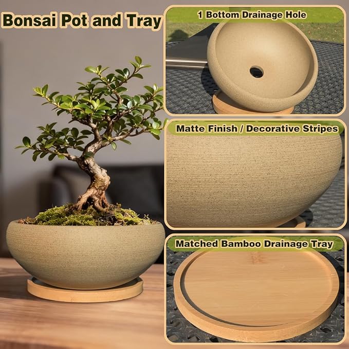 MUZHI Round Unglazed Ceramic Bonsai Pot with Bamboo Tray, Large Rough Pottery Succulent Planter with Drainage Hole 6.5 inch … (6.5")