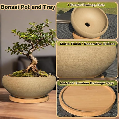 MUZHI Round Unglazed Ceramic Bonsai Pot with Bamboo Tray, Large Rough Pottery Succulent Planter with Drainage Hole 6.5 inch … (6.5")