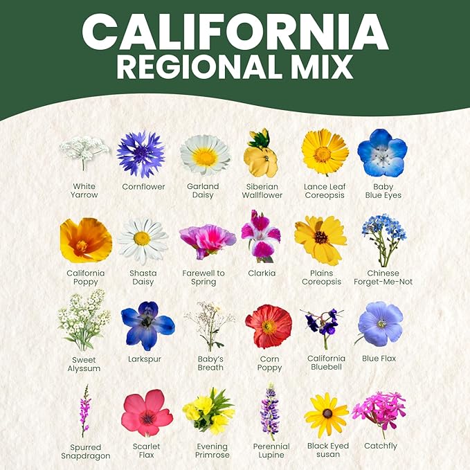 California Regional Mix – 3,500 Seeds for Planting – 2026 Season – 5 Gram Pouch