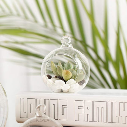 WGV Hanging Terrarium Globe, Width 2.25", Height 2.75", DIY Air Succulent Planter, Clear Glass Vase Orb with Flat Bottom, Candle Holder for Windowsill Outdoor Garden Decor, 6 Pieces Bulk