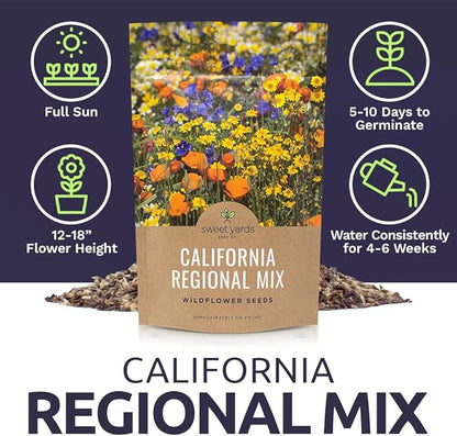 California Wildflower Mixture - Bulk 1/4 Pound Bag - Over 30,000 Native Seeds - Open Pollinated and Non GMO