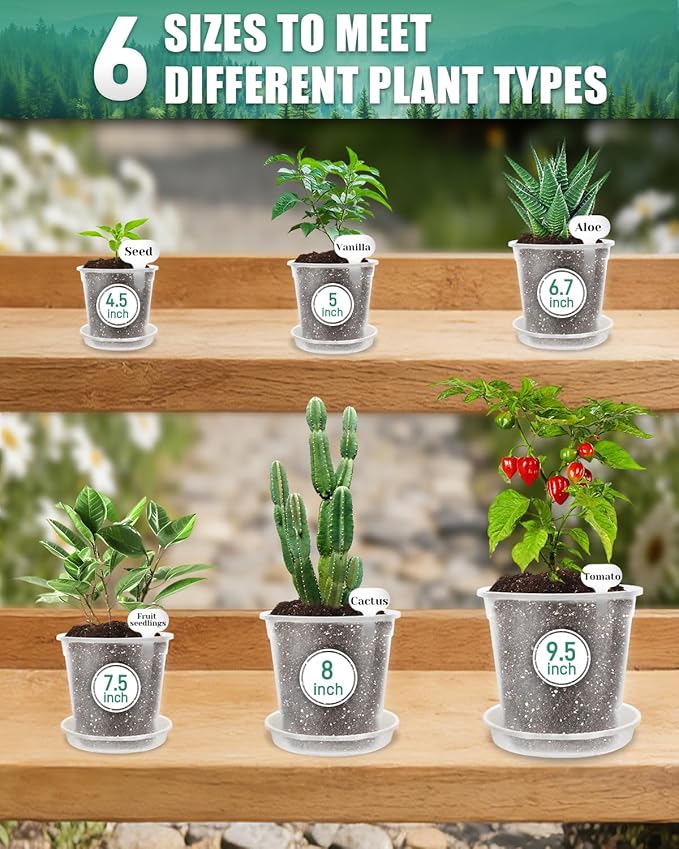 6 Pack Clear Nursery Pots with Drainage 9.5/8/7.5/6.7/5/4.5 Inch Nursery Pots with Saucers Transparent Seedling Pots Including Plant Labels Seed Starting for Indoor Outdoor Home Gardening