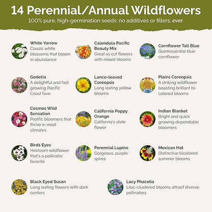 Eden Brothers Bird & Butterfly Wildflower Mixed Seeds for Planting, 5 lb, 2,400,000+ Seeds with Cosmos, Indian Blanket | Attracts Pollinators, Plant in Spring or Fall, Zones 3, 4, 5, 6, 7, 8, 9, 10