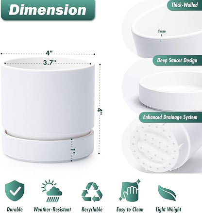 Phoenix Vine 4 Inch Planter Pot with Drainage Hole & Saucer, Deep Water Catch Tray, Straight Cylindrical Round Pot for Plants, Matte White, Pack of 2, 23-B-R-2