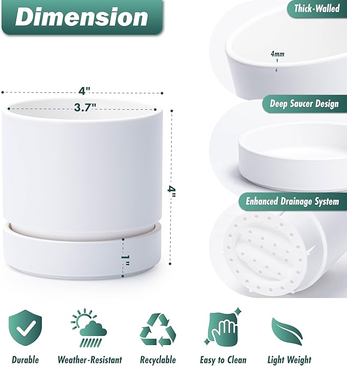 Phoenix Vine 4 Inch Planter Pot with Drainage Hole & Saucer, Deep Water Catch Tray, Straight Cylindrical Round Pot for Plants, Matte White, Pack of 3, 23-B-R-3