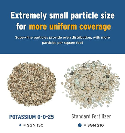 The Andersons Professional Potassium Fertilizer 0-0-25-18 lbs. Covers up to 6,000 sqft.