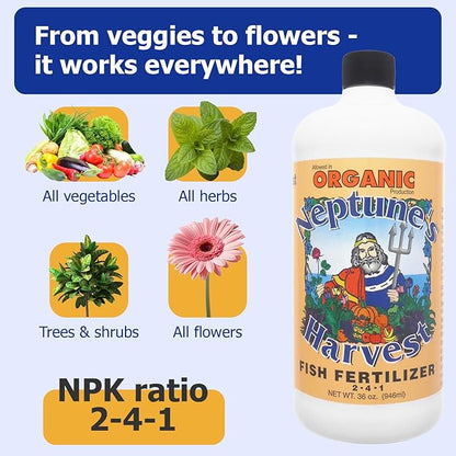 Neptune's Harvest Fish Fertilizer 2-4-1-36oz Bottle (Pack of 1) - Organic Liquid Plant Fertilizer - Fish Hydrolysate for Vegetables, Flowers, Fruit, Trees, Grass - Indoor and Outdoor Plant Food