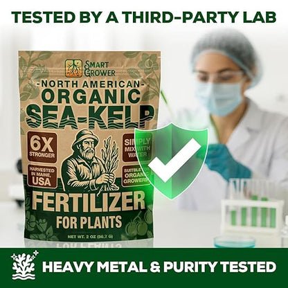 Organic Sea Kelp Fertilizer for Plants – Water-Soluble – Makes 50 Gallons – Kelp Meal Concentrate Plant Food – for Indoor Gardens, Hydroponics, Vegetables, Houseplants - Smart Grower - 2oz Bag
