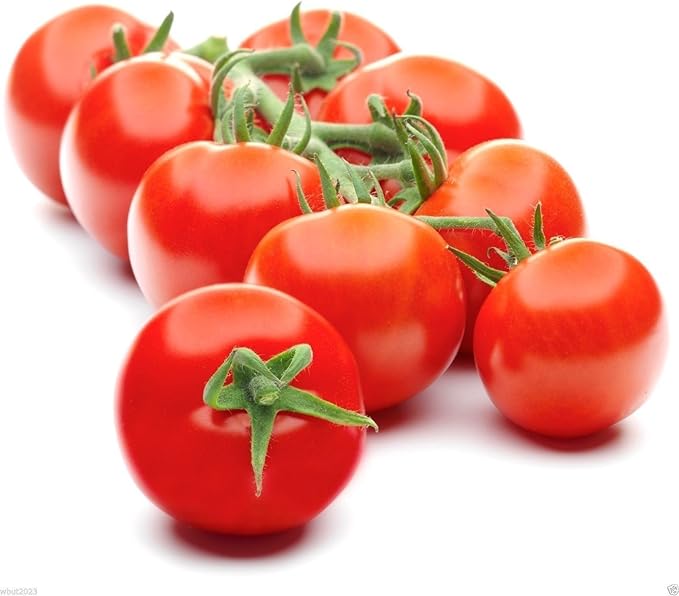 Campari Tomato Seeds,Very Juicy,High Sugar Level,Low Acidity,Lack of Mealiness !(100 Seeds)
