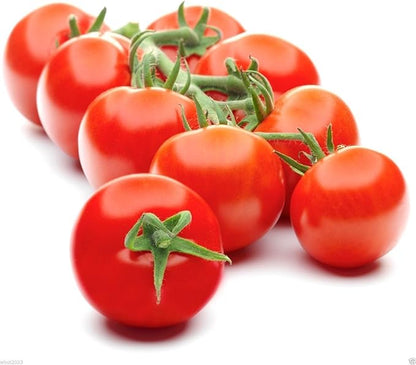 Campari Tomato Seeds,Very Juicy,High Sugar Level,Low Acidity,Lack of Mealiness !(100 Seeds)