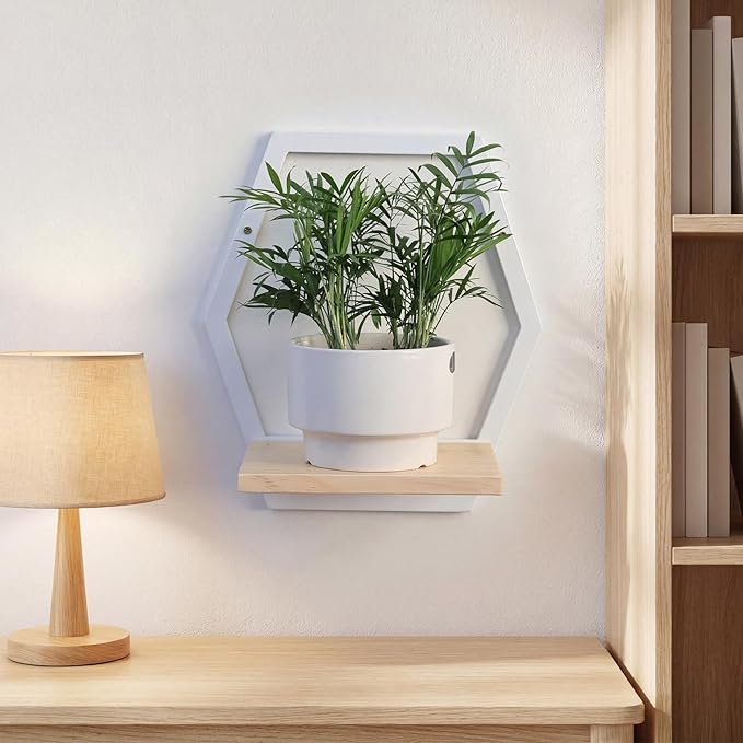 Modern White Hexagon Wall Planters with Solid Wood Shelves Set of 3 Geometric Floating Wall Decor for Indoor Plants, Stylish Wall Mounted Display for Succulents & Small Plants