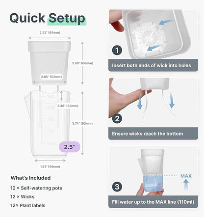 12 Pack 2.5" Small Self Watering Pots for Indoor Plants, Mini Clear Plastic Planters, Semi-Hydro, Propagation, Cuttings, Seedlings, Hoya, African Violets, Alocasia, LECA, PON,12 Plant Label