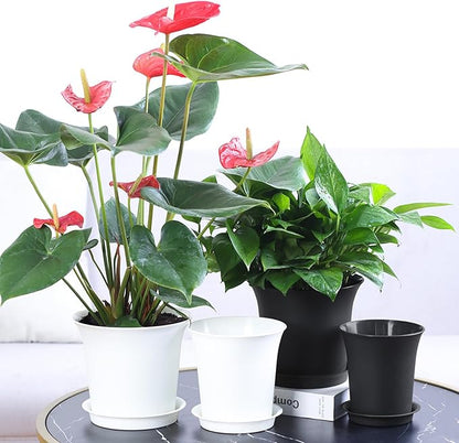 Planter Pot Sets, 6 Sizes Flower Pots with Drainage Holes and Saucers, Garden Plant Pots 3.1/3.7/4.3/4.9/5.7/7.2 Inches, for Home Garden Kitchen Decor (Dark Grey)