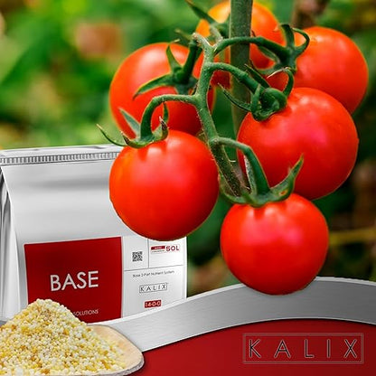 KALIX Base 14-0-0 | Hydroponic Calcium-Nitrogen Fertilizer | Fully Soluble Formula for Veg & Bloom Support | Iron Chelated | Stock Tank Ready | 2-Part System | 2lb