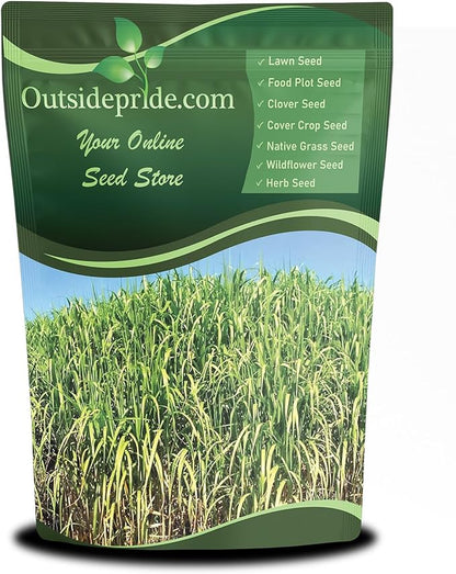 Outsidepride Switchgrass Seed - 5 lbs. Perennial Hardy, Drought & Flood Tolerant Native Grass Seed Ideal Fast-Growing Grasses for Erosion Control, Wildlife Forage & Food Plots, Thrives in Poor Soil