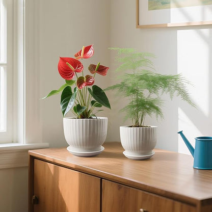 Ceramic Plant Pots,6.7 + 5.5 Inch,Ceramic Flower Pots,Planters with Drainage Hole and Saucer,Planters for Indoor Plants(Pure White)