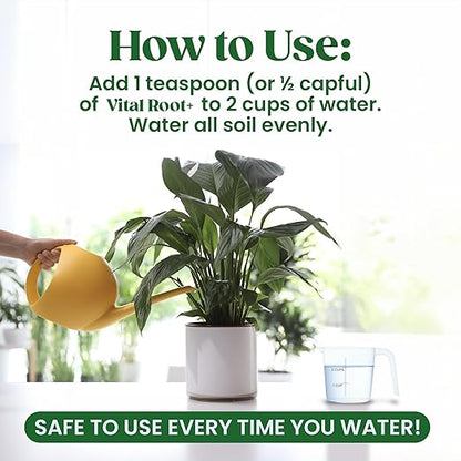 Root Supplement, Liquid Stimulator for Fiddle Leaf Fig & Indoor Plants - Propagation Promoter & Rot Treatment - Food for Healthy Roots, Stems & Leaves - Made in USA