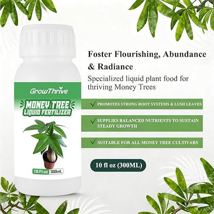 Money Tree Fertilizer for Money Trees and All Pachira Plants,Microbial Organic Liquid Plant Food for Houseplants’ Healthy Growth & Glossy Leaves 10 oz (300mL)