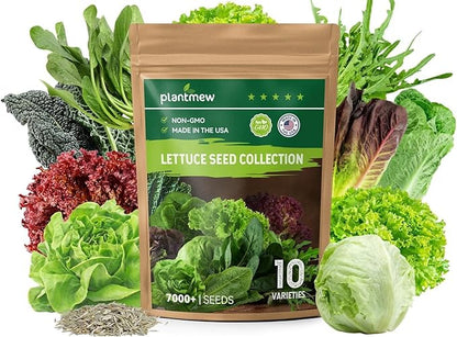 Heirloom Lettuce Seeds - 10 Varieties, Non-GMO Seeds for Planting - Includes Spinach, Kale, Arugula, Romaine, Iceberg, Buttercrunch & More, Home Garden & Hydroponic Seeds