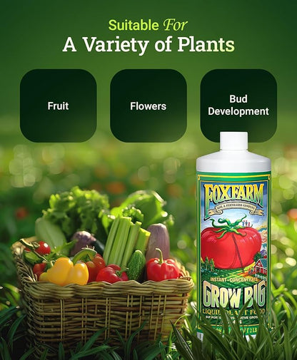 FoxFarm Grow Big Liquid Plant Food - Bloom Fertilizer for Flowers, Fruits, and Vegetables, Perfect for Indoor & Outdoor Potted Plants, NPK 6-4-4 (Quart)
