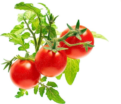 Click and Grow Smart Garden Mini Tomato Plant Pods, 3-Pack