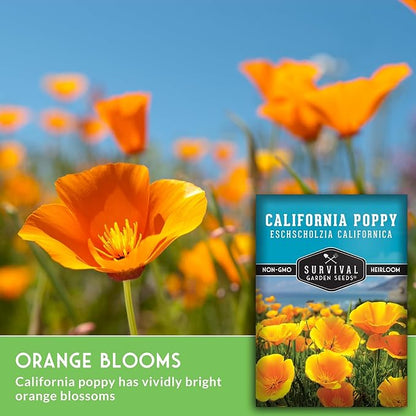 Survival Garden Seeds - California Poppy Seeds for Planting - 3 Packets with Instructions to Grow Eschscholzia Californica Plants in Your Home Flower Garden - Non-GMO Heirloom Wildflower Variety
