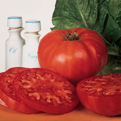 Burpee 'Supersteak' Hybrid | Large Red Beefsteak Slicing Tomato | 125 Seeds