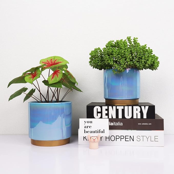 Ceramic Flower Plants Pots Planter with Drainage Hole, 6.0 inch+5.0 Inch. Indoor-Outdoor Large Round Succulent Orchid Pot Set (Blue)
