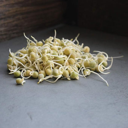 Green Pea Sprouting Seed - 35 Lb - Handy Pantry Brand - Green Pea for Sprouts, Garden Planting, Cooking, Soup, Emergency Food Storage, Vegetable Gardening