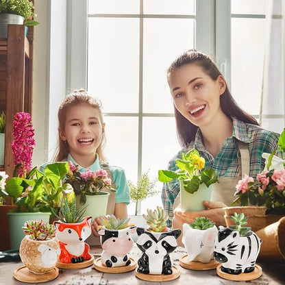 6 Pack Small Succulent Pots with Drainage Hole, 3 Inch Cute Ceramic Animal Planter with Saucer, Unique Air Plant Holder, Desktop Plant Flower Pot for Indoor Plants, Cactus, Garden, Home Decor