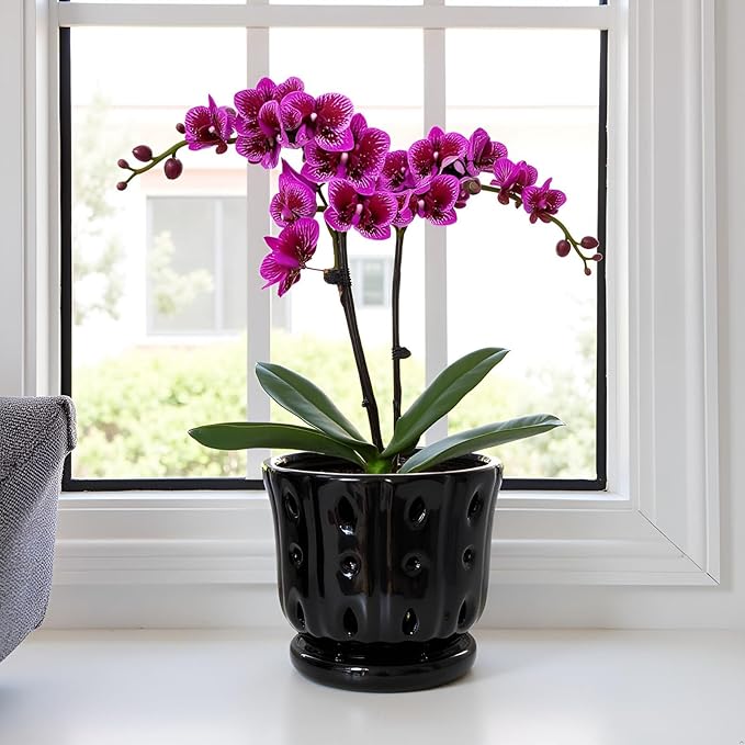 Ceramic Orchid Pot with Attached Saucer and Drainage Hole 6'' Orchid Planter (Black)