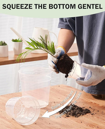 homenote Clear Nursery Pots for Plants,6.7 Inch Plant Pot for Planting Plastic Seedling with Drainage Holes Seed Starter Flower High Transparency with 20 Labels (15 Pack)