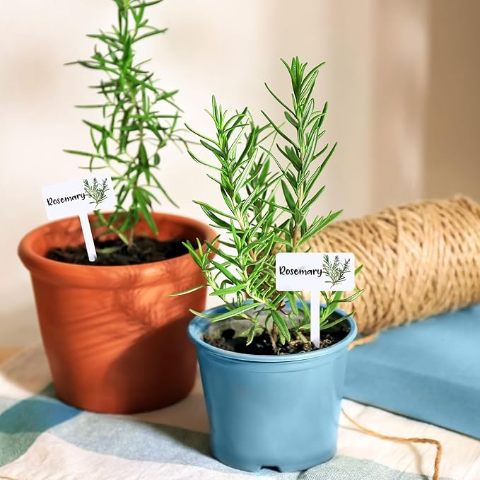 JarThenaAMCS 24Pcs Acrylic Plant Label Signs 12 Styles T-Type Herb Garden Markers Waterproof Reusable Plant Stake Tags with Names for Spring Summer Nursery Indoor Outdoor Garden Decoration