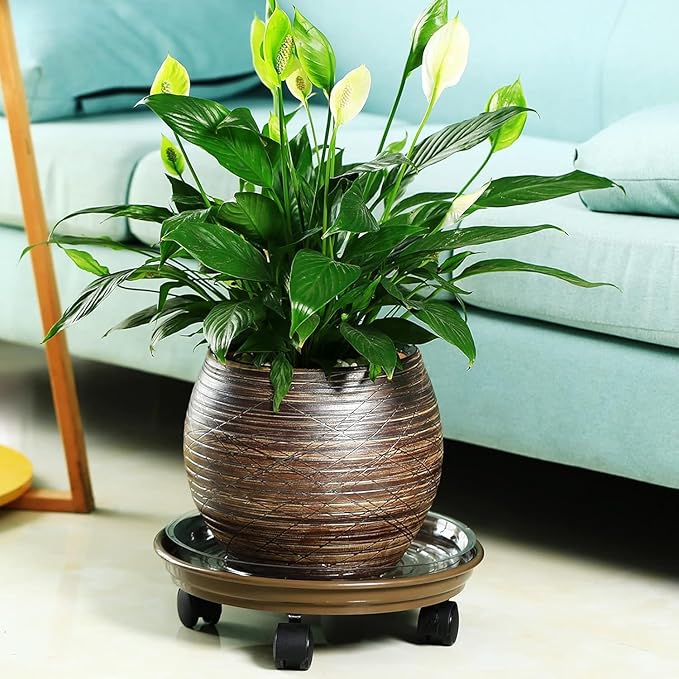 5 Packs Plant Caddy with Wheels 11.8" Plastic Rolling Plant Stands Heavy-Duty Plant Dolly with Casters Indoor Outdoor Wheeled Plant Roller Base Large Planter Saucers Plant Mover
