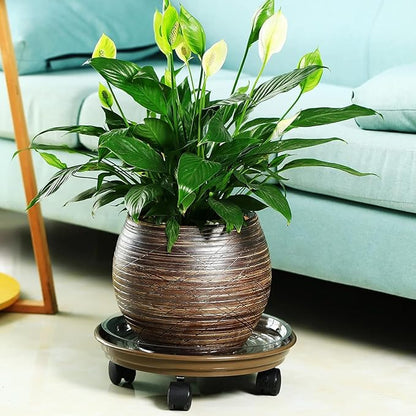 5 Packs Plant Caddy with Wheels 11.8" Plastic Rolling Plant Stands Heavy-Duty Plant Dolly with Casters Indoor Outdoor Wheeled Plant Roller Base Large Planter Saucers Plant Mover