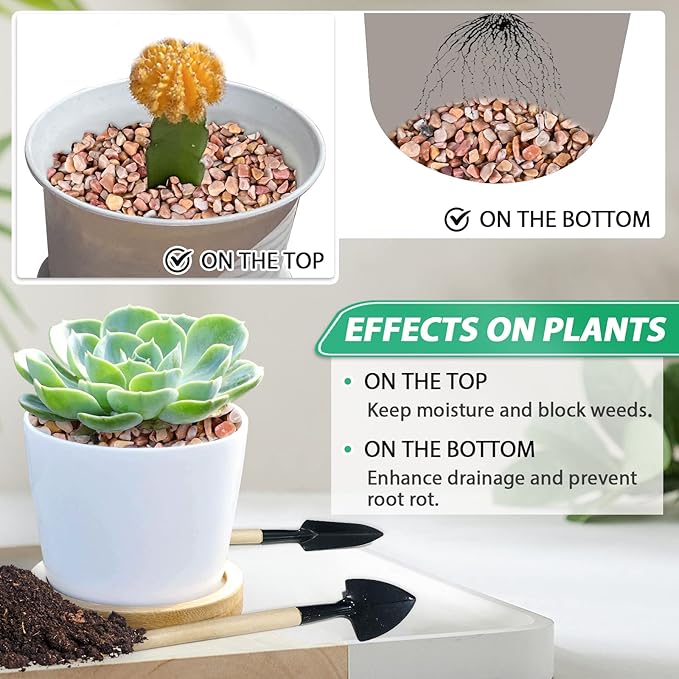 Succulent Rocks for Plants Tiny Pebbles for Planters 2.8LB Pea Gravel Bulk Course Sand Soil Small Decorative Stones for Indoor Bonsai Pots Cactus Top Dressing Aquarium Garden Landscape, Red