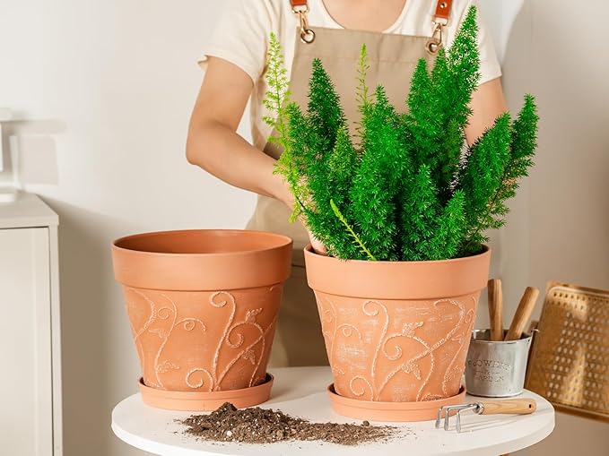 Melphoe Plant Pots Indoor with Drainage & Saucer, 2Pack 10 inch Flower Pots Outdoor Planters for Indoor Plants Garden Home Decor Cactus Succulent, Rigid Plastic (Imitation-Terracotta) Vine-Embossed