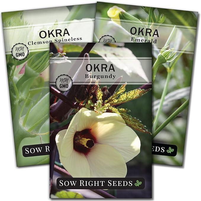 Sow Right Seeds - Okra Seed Collection for Planting - Burgundy, Clemson Spineless, and Emerald Varieties - Non-GMO Heirloom Packet to Plant a Home Vegetable Garden - Productive Summer Crop